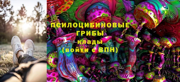 меф Инта