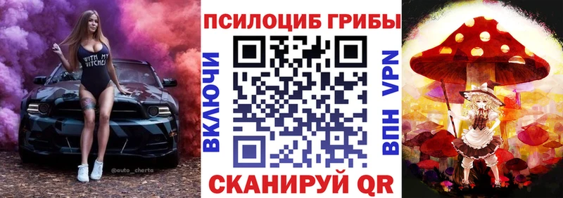 Купить  Оса  Галлюциногенные грибы мухоморы 